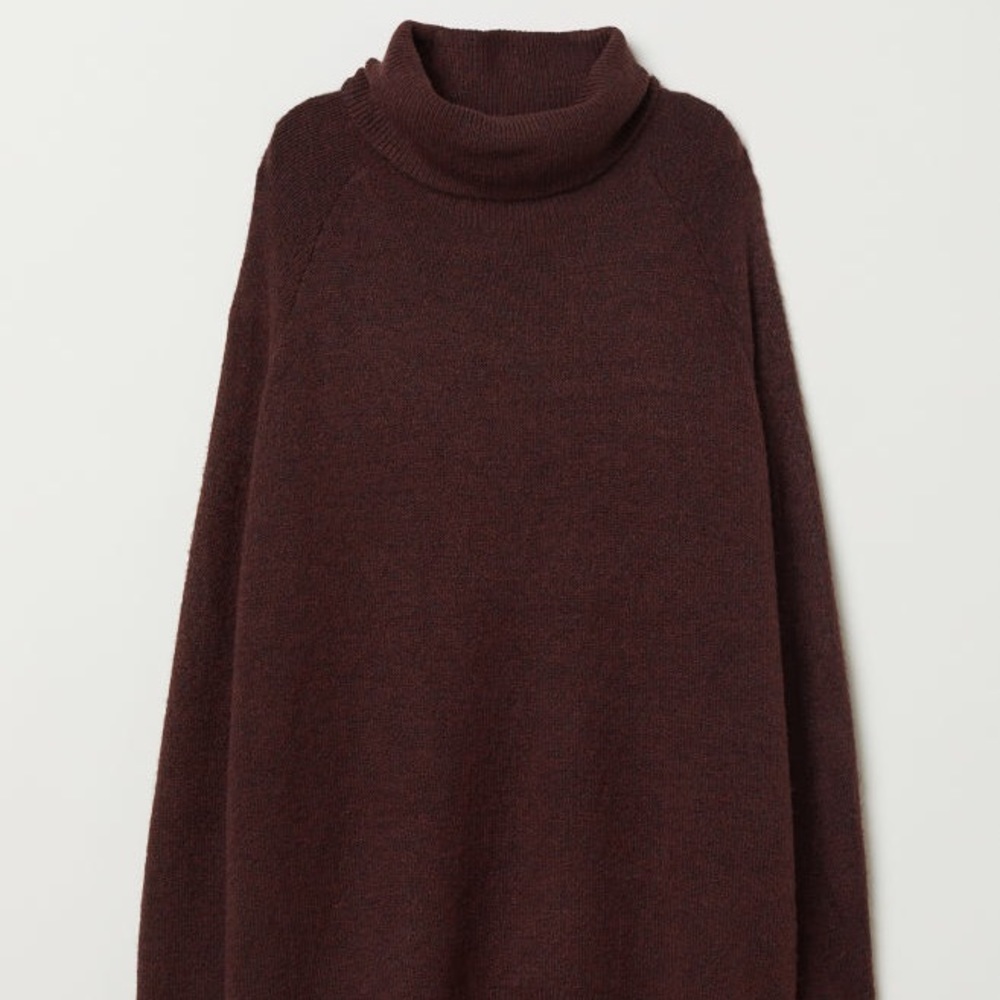 H&M Turtleneck Sweater